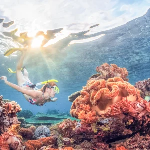 Bali Snorkeling