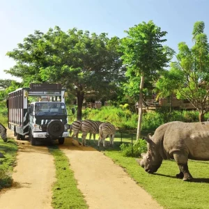 Taman Safari